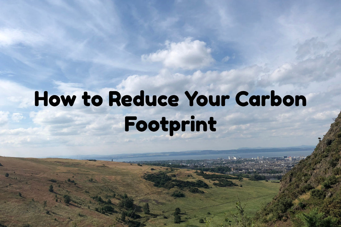 How to Reduce Your Carbon Footprint