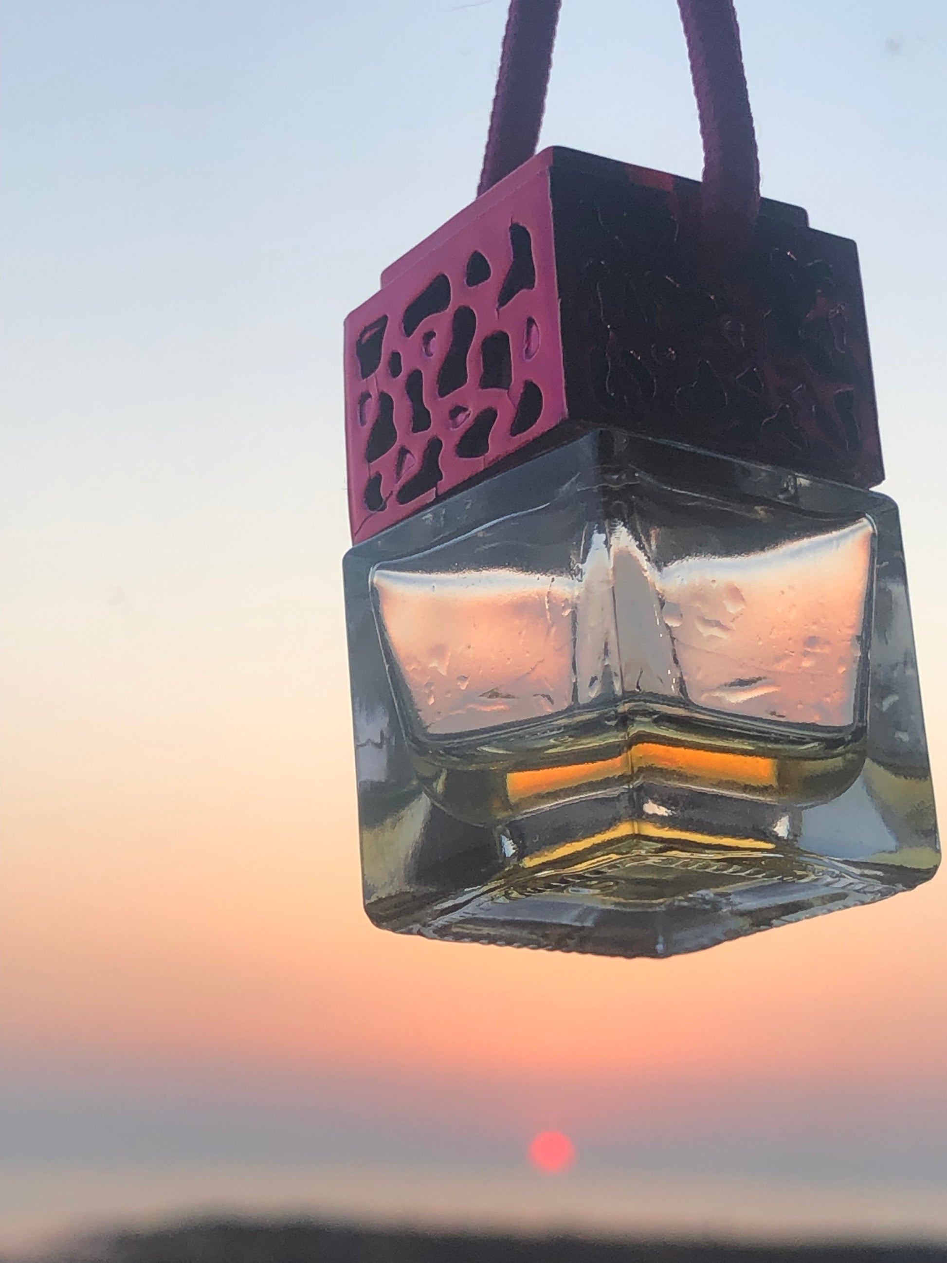 Bliss Delights Vegan Car Freshener | Eco Car Diffuser / Car Perfume