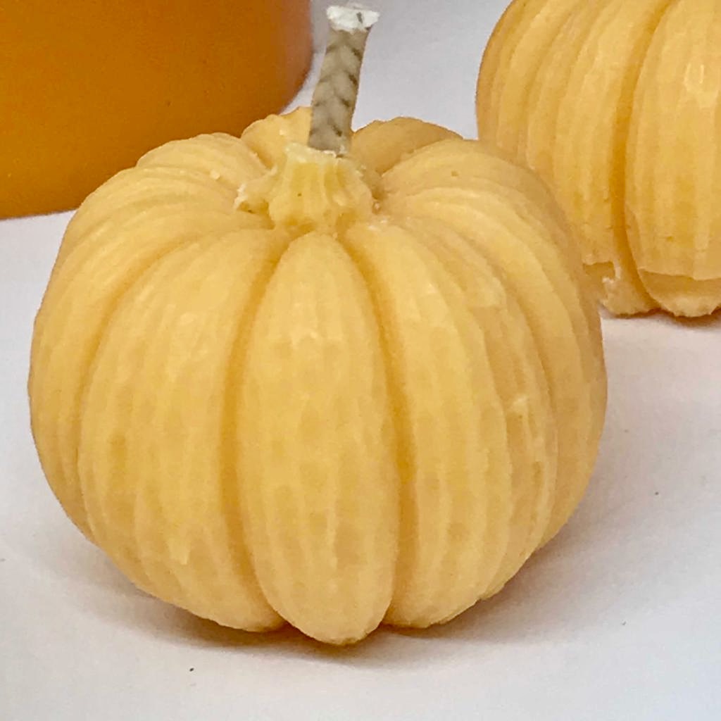 Bliss Delights Pumpkin Tealights | Halloween Tealights | Autumn Gift