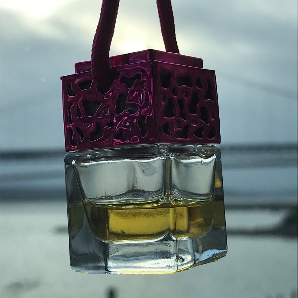 Bliss Delights Vegan Car Freshener | Eco Car Diffuser / Car Perfume