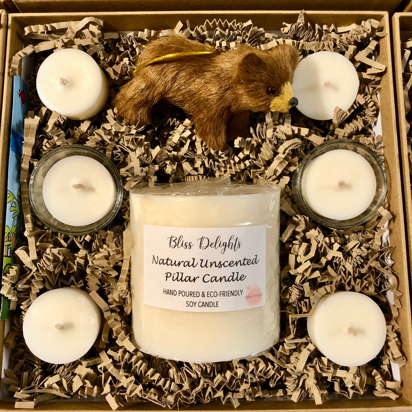 Bliss Delights Soy Candle Gift Set with 3 Unscented Tealights, 3 Scented Tealights, 2 Tealight Holders, Cress Seeds and Bear Tree Decoration