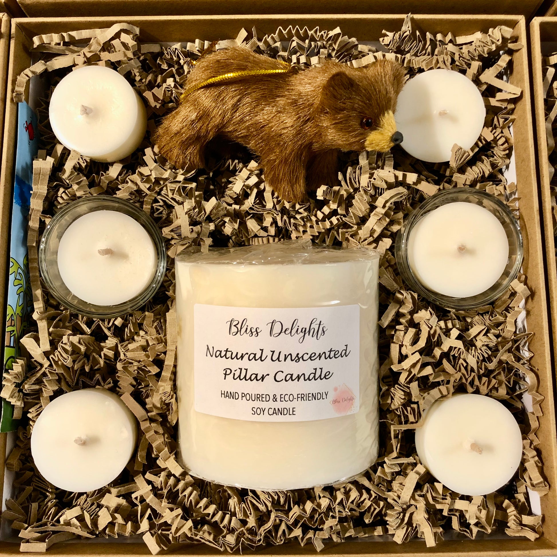 Bliss Delights Soy Candle Gift Set with 3 Unscented Tealights, 3 Scented Tealights, 2 Tealight Holders, Cress Seeds and Bear Tree Decoration