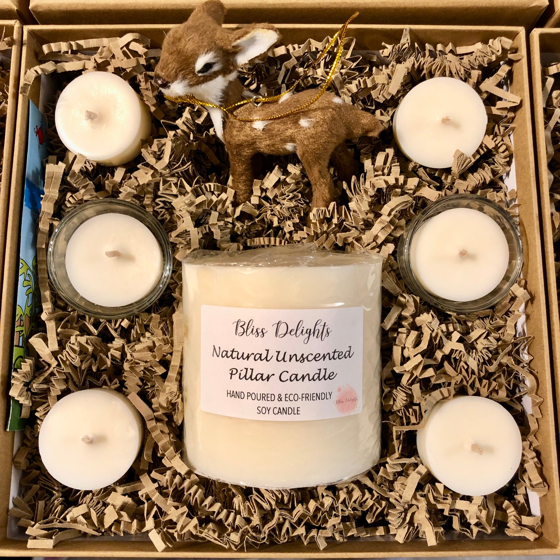 Bliss Delights Soy Candle Gift Set with 3 Unscented Tealights, 3 Scented Tealights, 2 Tealight Holders, Cress Seeds and Deer Tree Decoration