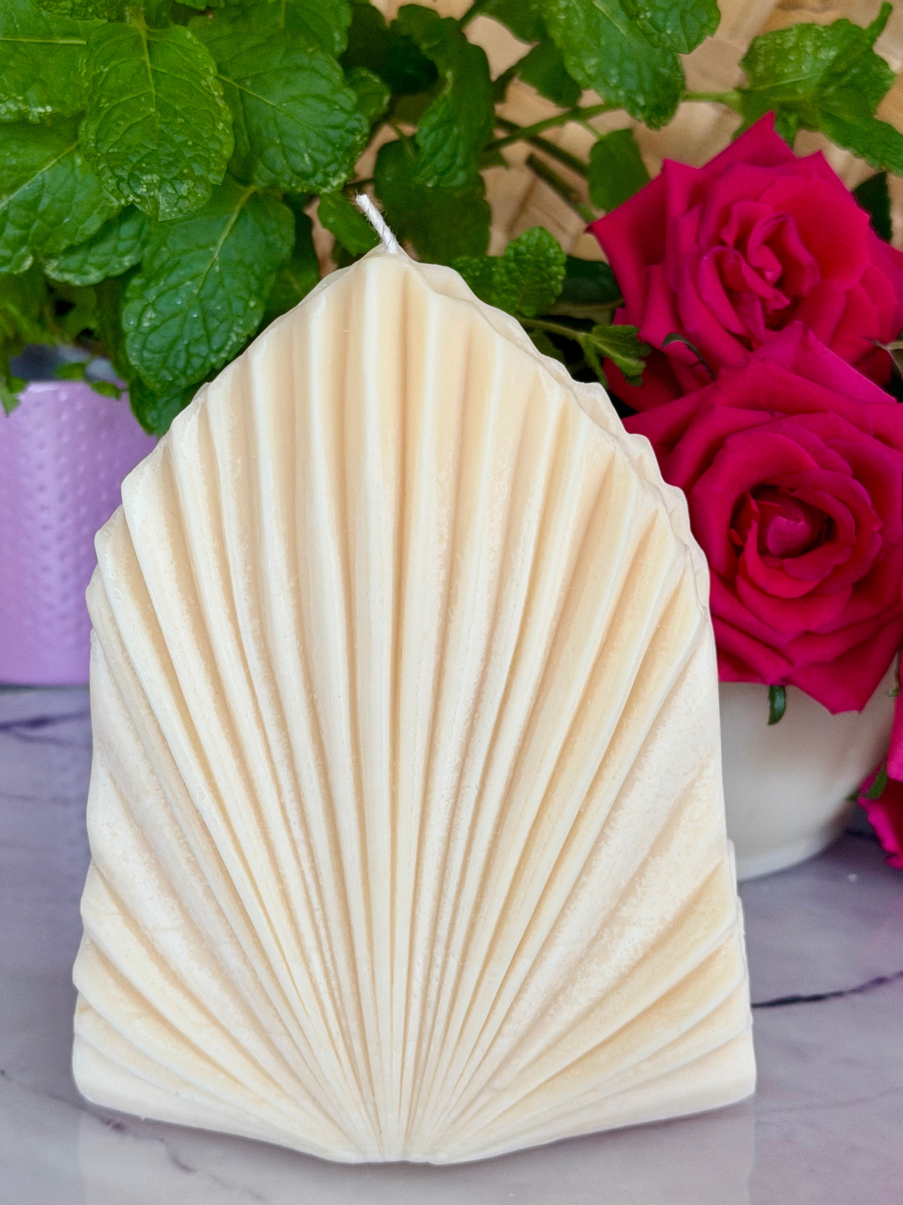 Bliss Delights Shell Soy Pillar Candle Unscented | Vegan Candle