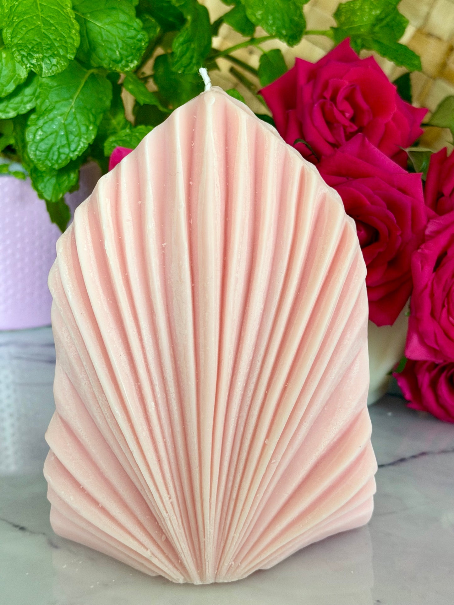 Shell Soy Pillar Candle Unscented