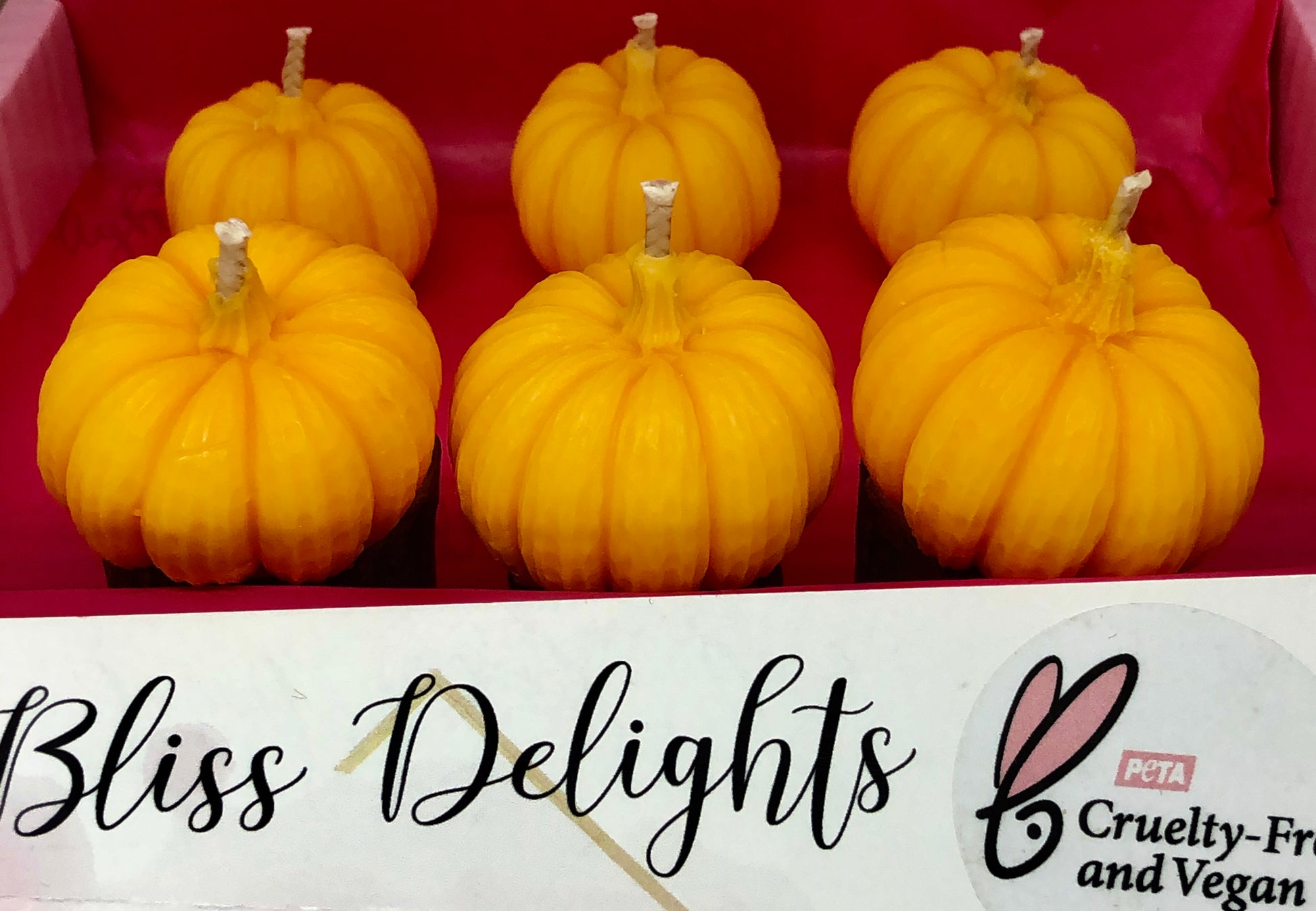 Bliss Delights Pumpkin Tealights | Halloween Tealights | Autumn Gift